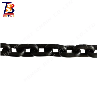 BST Cargo Surring G80 Lyftkedja